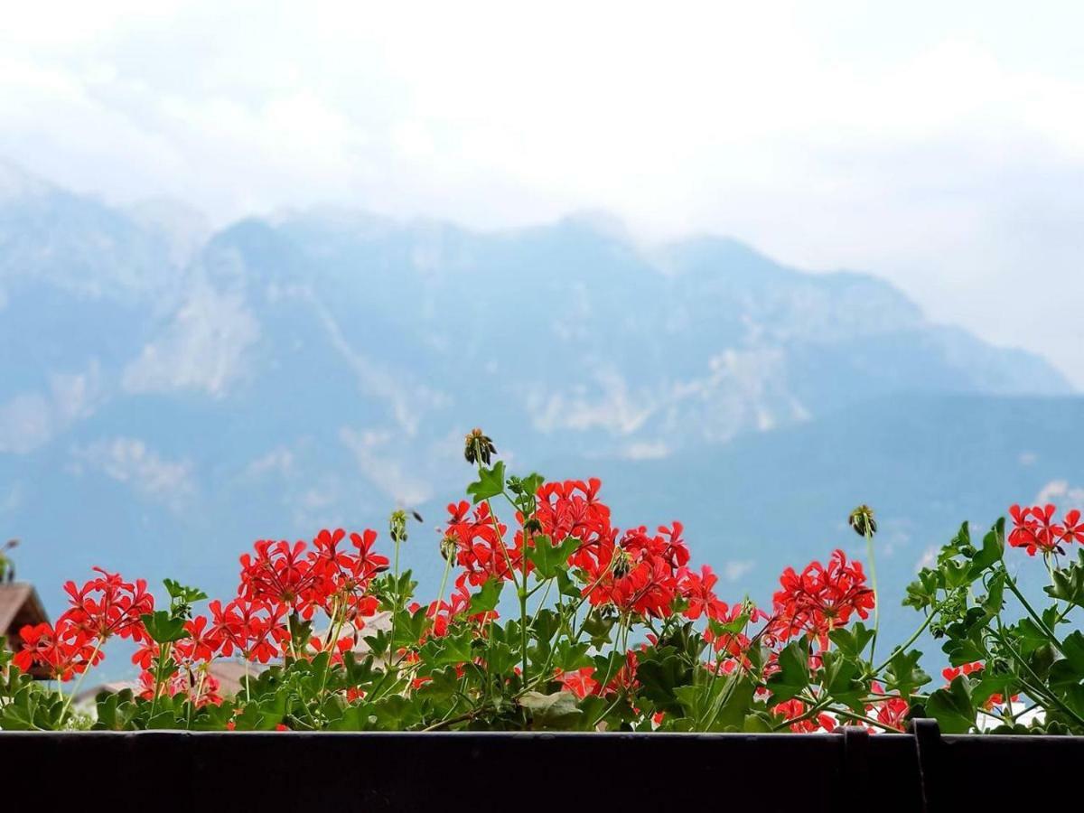 La Casa Di Michela - 120M2 In The Mountains With Fireplace & Garden Strigno Exteriör bild